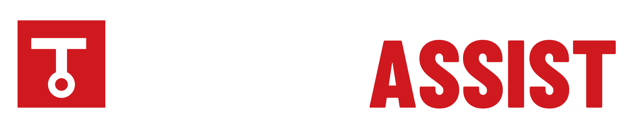 ServisAssist koyu zemin logosu