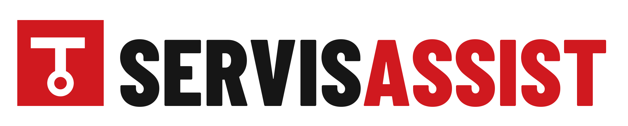 ServisAssist ana logo